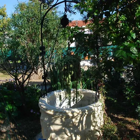 Maison Blanche